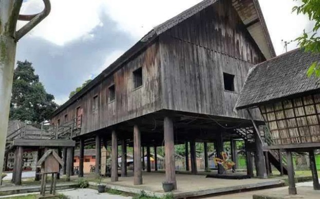 3D2N Tanjung Puting Orangutan Open Trip Pangkalan Bun Central kalimantan