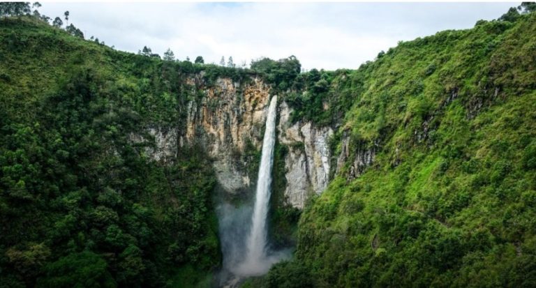 Kualanamu-Medan-Bukit Lawang–Orang Utan tour + bahorok Rafting 4 dayas 3 nights